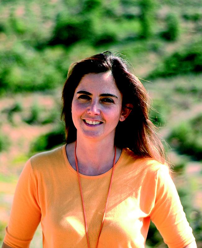 Zeytinyağı hakkında her şey